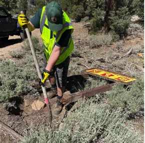 Forest trail stewardship